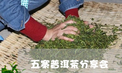 五寨普洱茶分享会/2023033050823