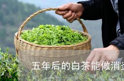 五年后的白茶能做消炎药吗/2023040168370