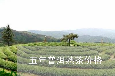 五年普洱熟茶价格/2023033042595