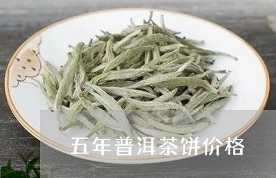 五年普洱茶饼价格/2023040185371