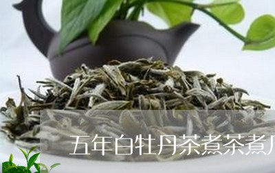 五年白牡丹茶煮茶煮几分钟/2023040144939