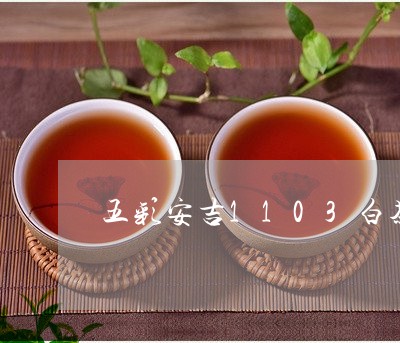 五彩安吉1103白茶价格/2023033178592