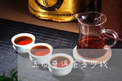 五级普洱茶多少钱/2023033193816