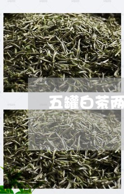 五罐白茶两罐茉莉花茶区别/2023033129582