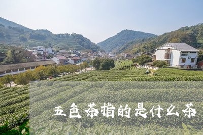 五色茶指的是什么茶/2023031959484