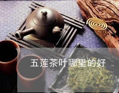 五莲茶叶哪里的好/2023032683615