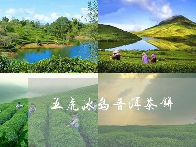 五虎冰岛普洱茶饼/2023031703049