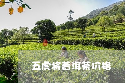 五虎将普洱茶价格/2023031605146