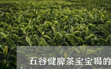 五谷健脾茶宝宝喝的/2023041426249