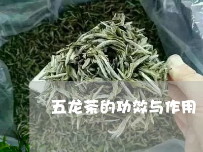 五龙茶的功效与作用/2023041761582