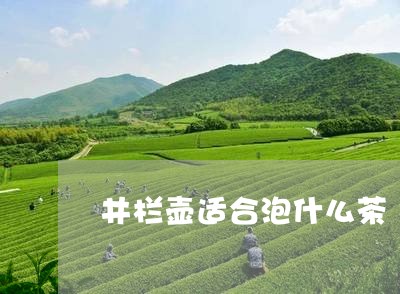 井栏壶适合泡什么茶/2023041539381