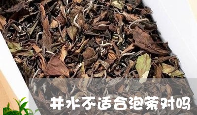 井水不适合泡茶对吗/2023041636141