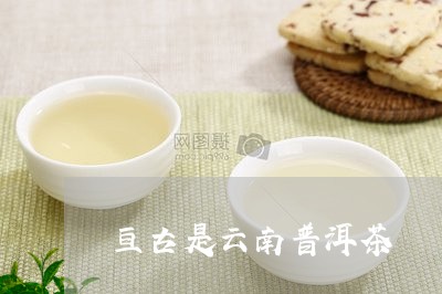 亘古是云南普洱茶/2023041017272