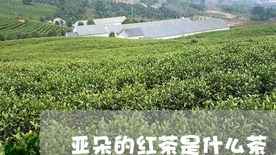 亚朵的红茶是什么茶/2023041694926