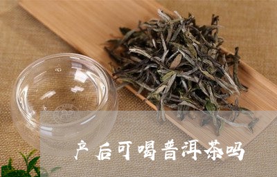 产后可喝普洱茶吗/2023031778573