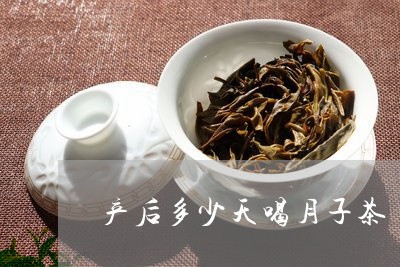 产后多少天喝月子茶/2023041407270