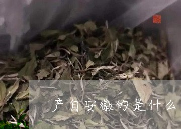 产自安徽的是什么茶/2023041503735