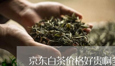 京东白茶价格好贵啊多少钱/2023040112837