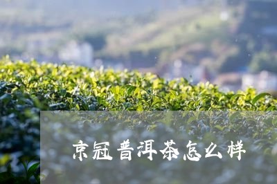 京冠普洱茶怎么样/2023033150592