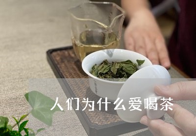 人们为什么爱喝茶/2023032503514