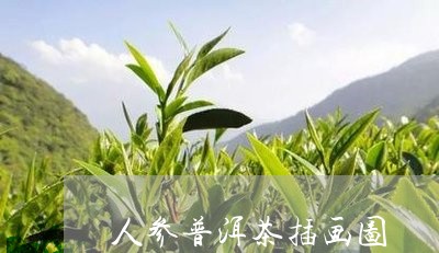 人参普洱茶插画图/2023041328313