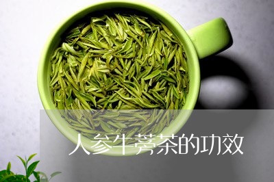 人参牛蒡茶的功效/2023032554718