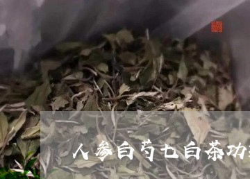 人参白芍七白茶功效与禁忌/2023040133859