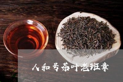 人和号茶叶老班章/2023032860303