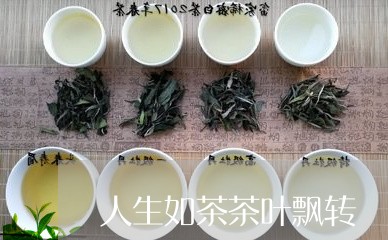 人生如茶茶叶飘转/2023032595059