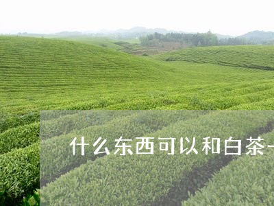 什么东西可以和白茶一起煮/2023040167179