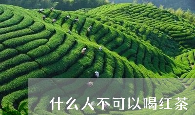 什么人不可以喝红茶/2023031952715