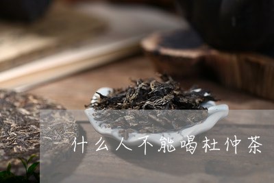 什么人不能喝杜仲茶/2023041566350