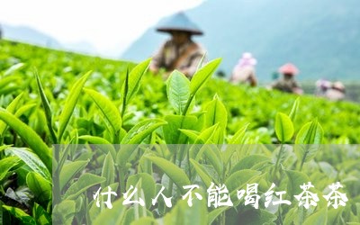 什么人不能喝红茶茶/2023041587068