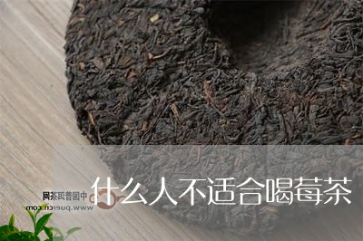 什么人不适合喝莓茶/2023041583826