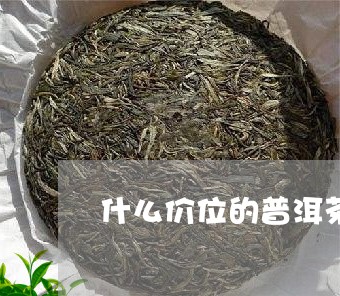 什么价位的普洱茶/2023031748507