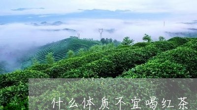 什么体质不宜喝红茶/2023041594926