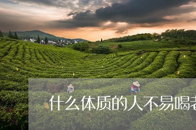 什么体质的人不易喝老白茶/2023040167271