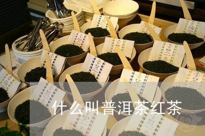 什么叫普洱茶红茶/2023041373706