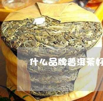 什么品牌普洱茶好/2023041315171