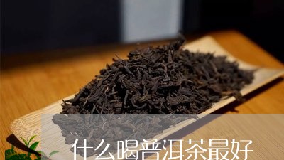 什么喝普洱茶最好/2023041105281