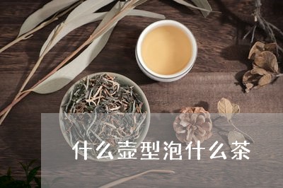 什么壶型泡什么茶/2023032367272