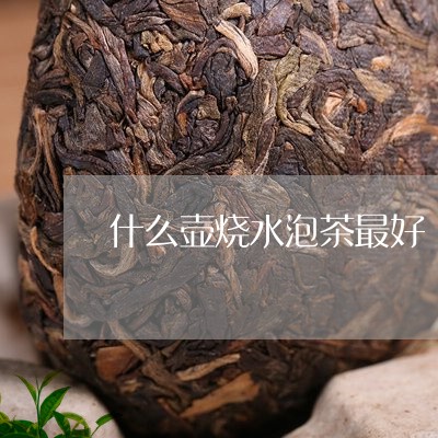 什么壶烧水泡茶最好/2023041684947