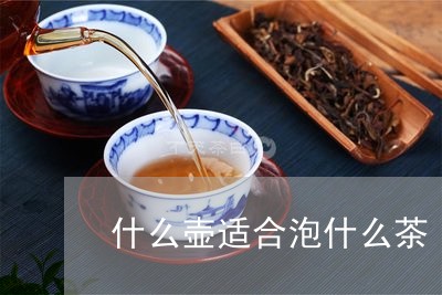 什么壶适合泡什么茶/2023032064027