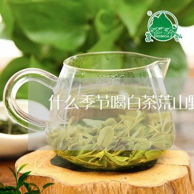 什么季节喝白茶荒山野茶好/2023040108271