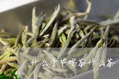 什么季节喝茶什么茶/2023041635048