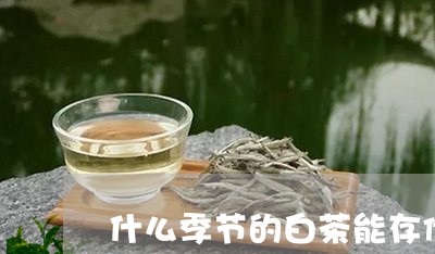 什么季节的白茶能存储一年/2023040136251