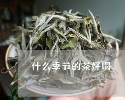 什么季节的茶好喝/2023032245168