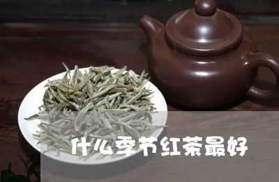 什么季节红茶最好/2023032326158