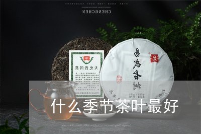 什么季节茶叶最好/2023032647137