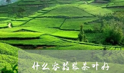 什么容器装茶叶好/2023032650483